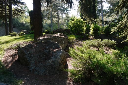 A picturesque glade in a park with large stones lying in the shade near a tall tree with the penetrating rays of the sun through its branches.