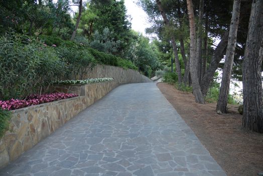 A stone walk alley with tall trees on one side and decorative flower beds on the other
