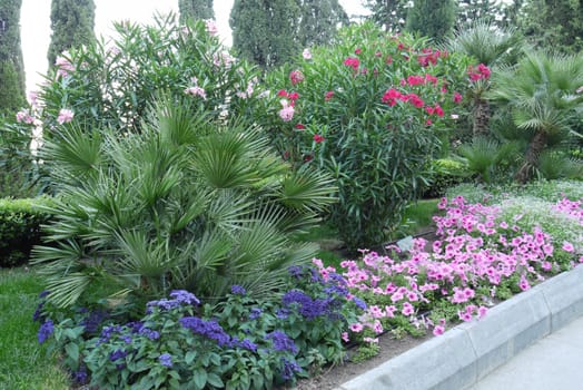 A flower bed with blue, pink and crimson flowers. I want to take such beauty into the house, but it's a pity to tear it down