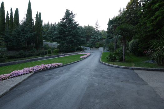 Green park with asphalted paths lawn with figuratively planted flowers