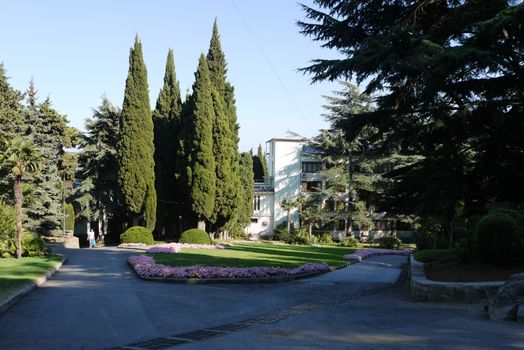 beautiful park with alleys near the hotel. The eyes admire large conifers and shrubs