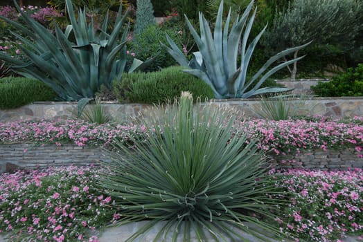 Large lush ornamental bushes on a background of small pink flowers