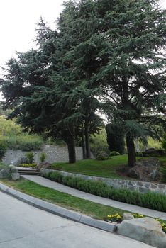 neat paths to a memorable stone lying in the shade of green spruce