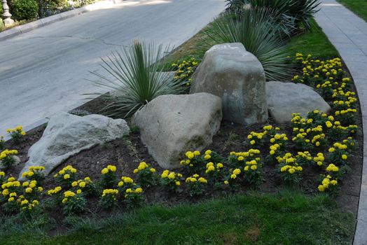 The stones lying in a flower bed with beautiful yellow flowers growing around them with walkways on either side of them.