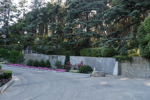 The road with decorative flower beds, tall coniferous trees and a staircase leading upwards