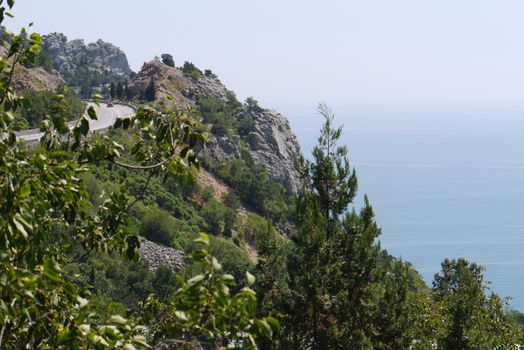 steep cliffs covered with trees on the background of the deep boundless sea