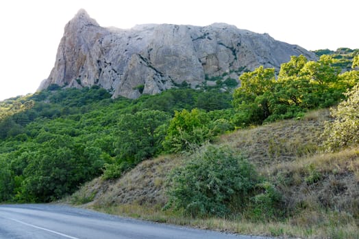 The road on the background of a high gray cliff is surrounded by green dense forest