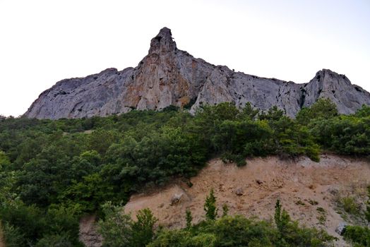 wide dense forest on the background of a steep gray rock under a blue sky