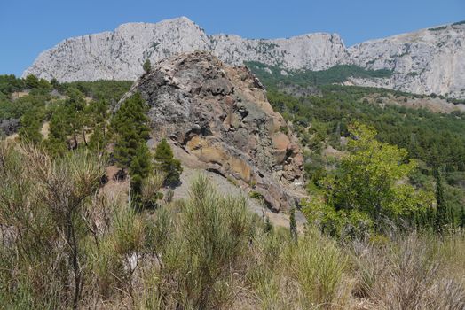 Large wide rock surrounded by bushes on the background of high steep mountains