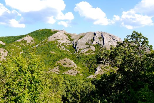 A magnificent green forest under a blue sky on the background of grass-covered mountains