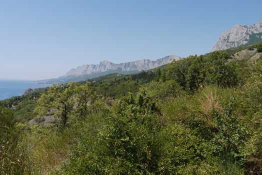 grass slopes on the background of high steep cliffs and the boundless black sea