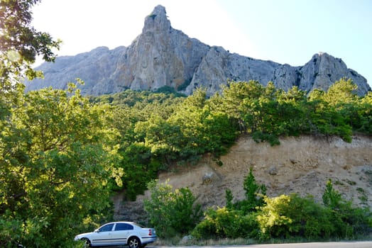 wide dense forest on the background of a steep gray rock under a blue sky