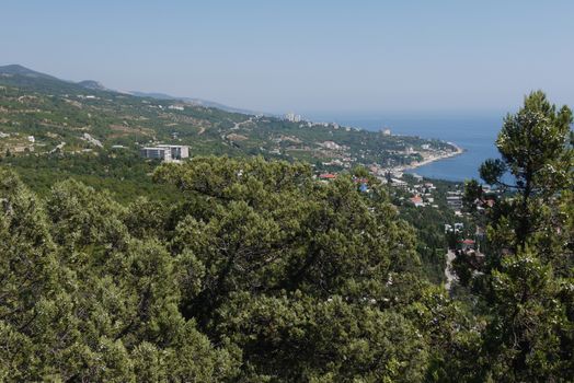 wide green trees under a blue sky on the background of a beautiful coastal town