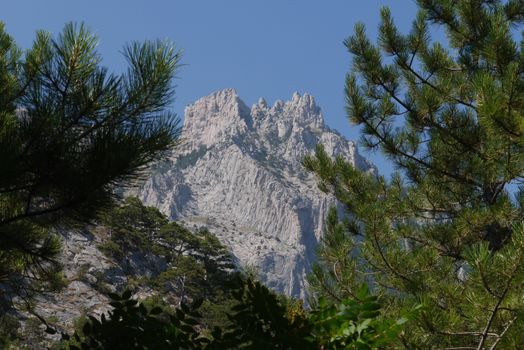 high steep mountains hiding behind the leaves of lush trees