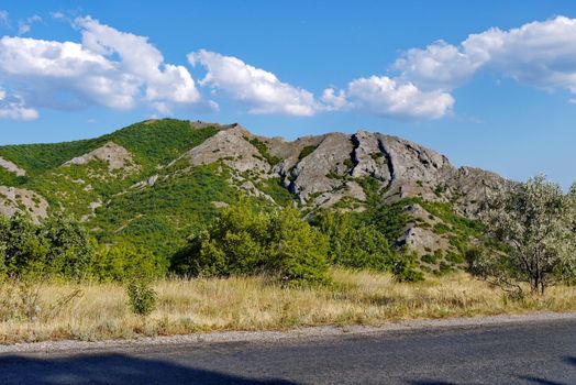 road against the background of high grass covered with gray rocks under the blue sky