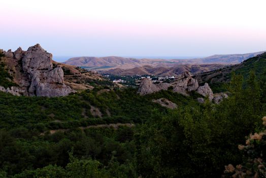 wide dense forest on the background of a steep gray rock under a blue sky