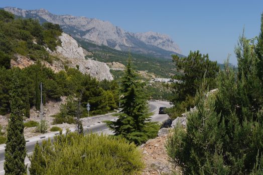 the road is twisted in the middle of the great mountains covered with trees on the background of a blue sky