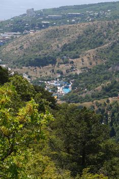 Beautiful trees against the background of the amusement park and houses surrounded by trees