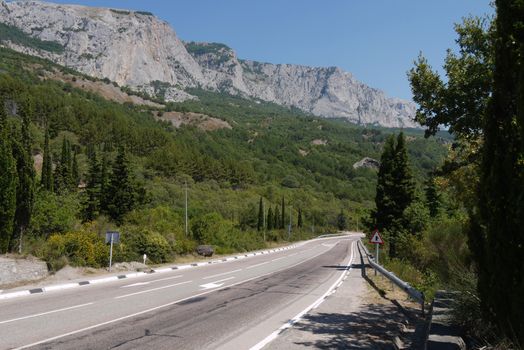 long road against the background of huge mountains surrounded by trees