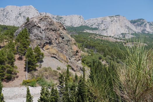 steep tall cliffs on the background of a blue sky surrounded by dense forest