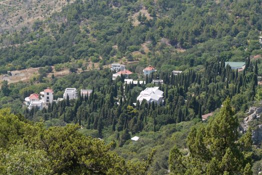 beautiful houses surrounded by dense high trees