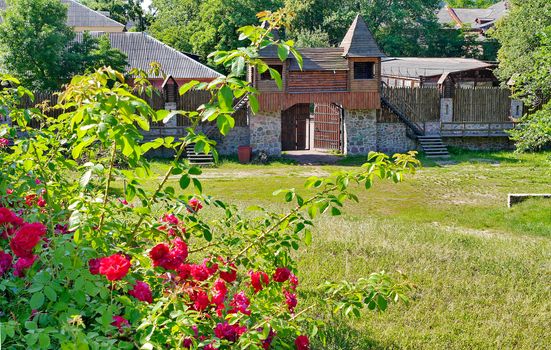 Beautiful fragrant red flowers on the background of an ancient fence