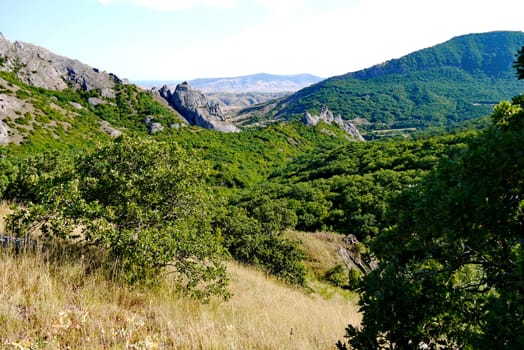 steep grassy slopes on the background of high endless mountains covered with trees