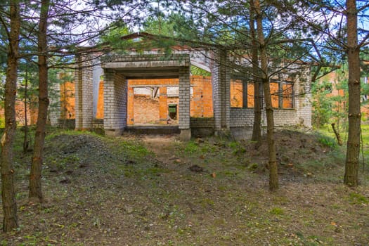 a small abandoned building in the middle of a forest glade surrounded by dense forest