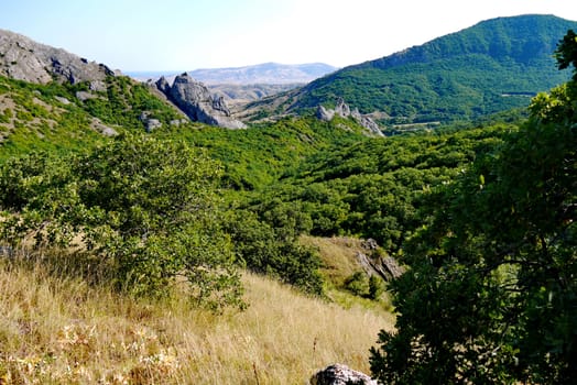 steep grassy slopes on the background of high endless mountains covered with trees