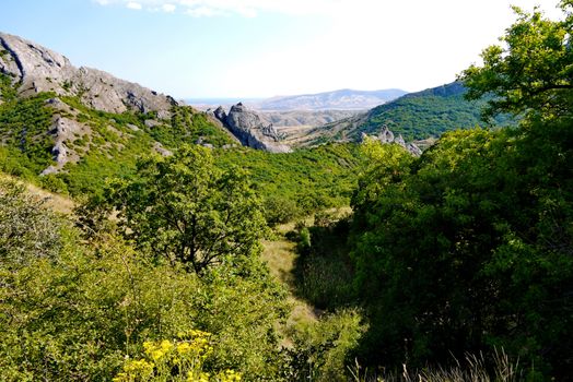 wide green bushes on the background of grass-covered mountains under the blue sky