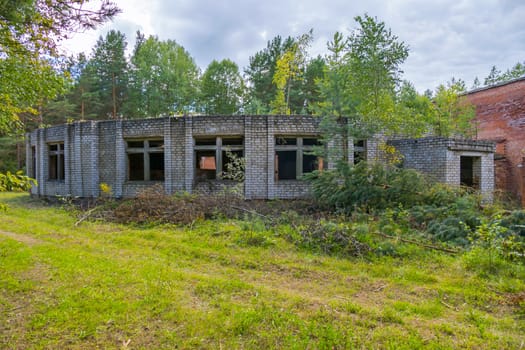 a small abandoned building in the middle of a forest glade surrounded by dense forest