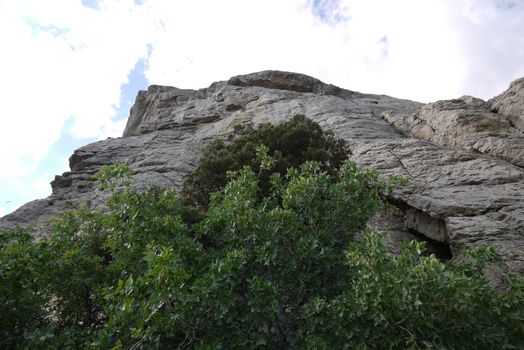 beautiful green trees under steep tall cliffs