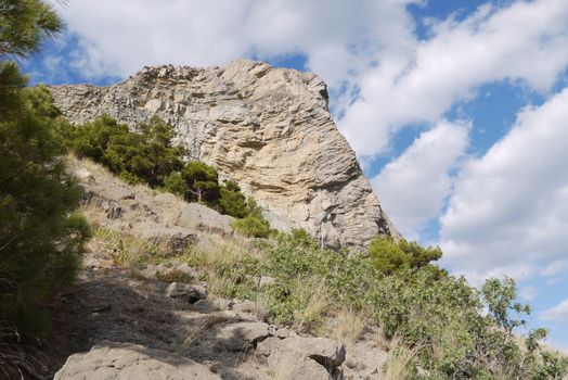 high acute cliff covered with trees on the blue sky background