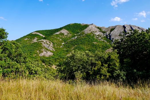 wide green bushes on the background of grass-covered mountains under the blue sky