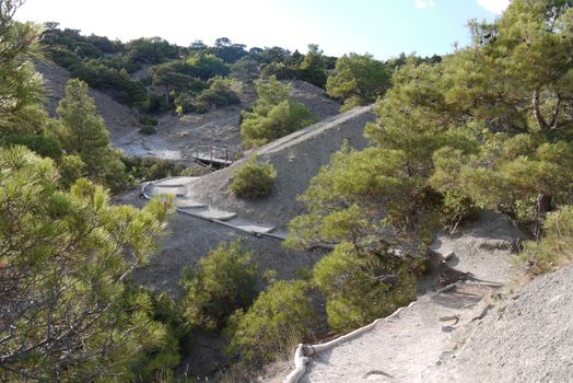 a narrow rocky road in the middle of the slopes covered with trees on the background of the blue sky