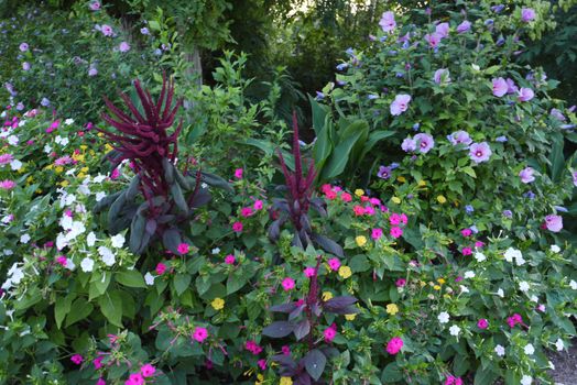 large flowerbed with yellow, red and pink flowers on the background of small green trees