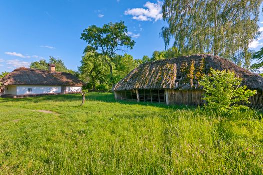 A green meadow with tall trees and Ukrainian strips with a thatched roof