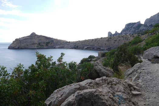 Small green bushes in the background of the bay surrounded by high slopes