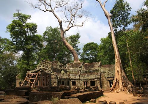  angkor wat complex in  cambodia