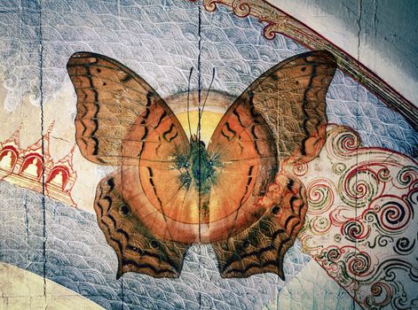 grunge butterfly image