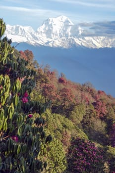  Annapurna South and Hiunchuli , Nepal