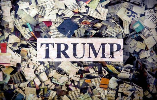 political words on Newspaper confetti 