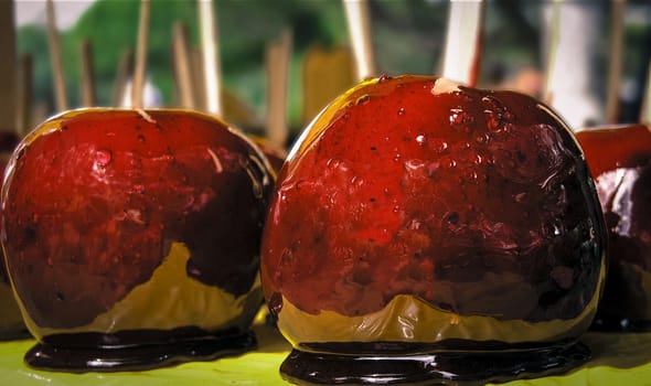 close-up of some toffee apples