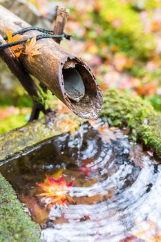 Water bamboo fountain with maple leaves