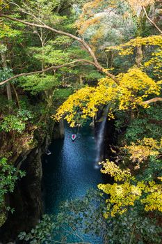 Yellow leaves in Takachiho Gorge