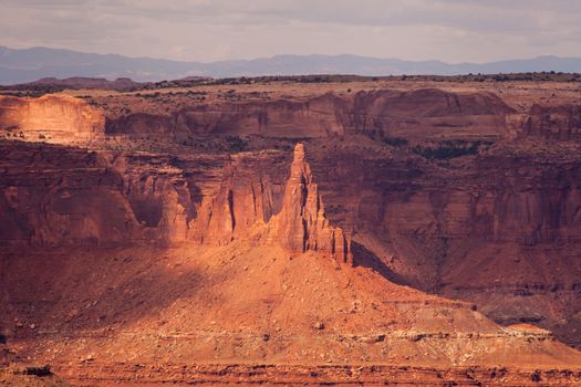 View over Buck Canyon from the Island in the Sky, Canyonlands National Park, Utah USA