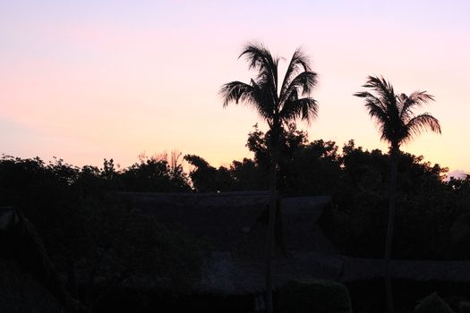 Black silhouettes of palm trees on a pink sky background