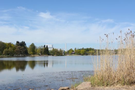 Toolo Bay in Hesperia Park, edged by tall reeds. Helsinki city buildings and trees stand on the opposite shore.