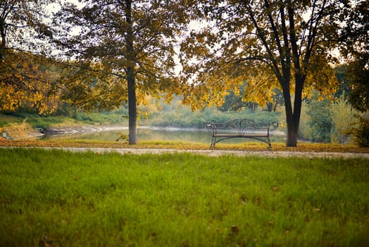 Fall park bench under autumn trees landscape