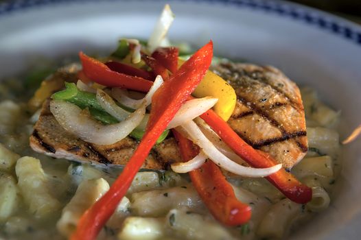 Grilled Wild Alaskan Salmon with onions bell peppers over creamy alfredo penne pasta dinner plate closeup